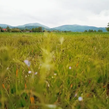 بيت للعطل Polny